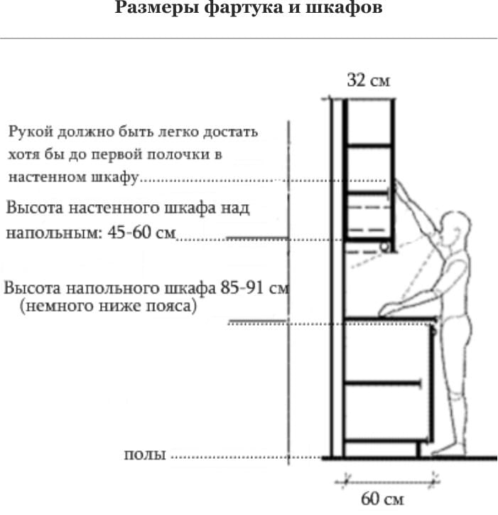 The dependence of the size of furniture on human height