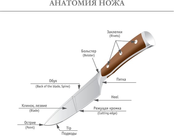 Anatomija noža