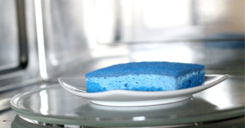 Nililinis ang microwave na may espongha at dishwashing detergent