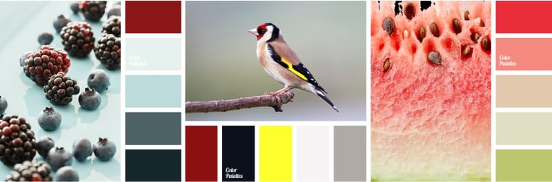 Color schemes Color palettes