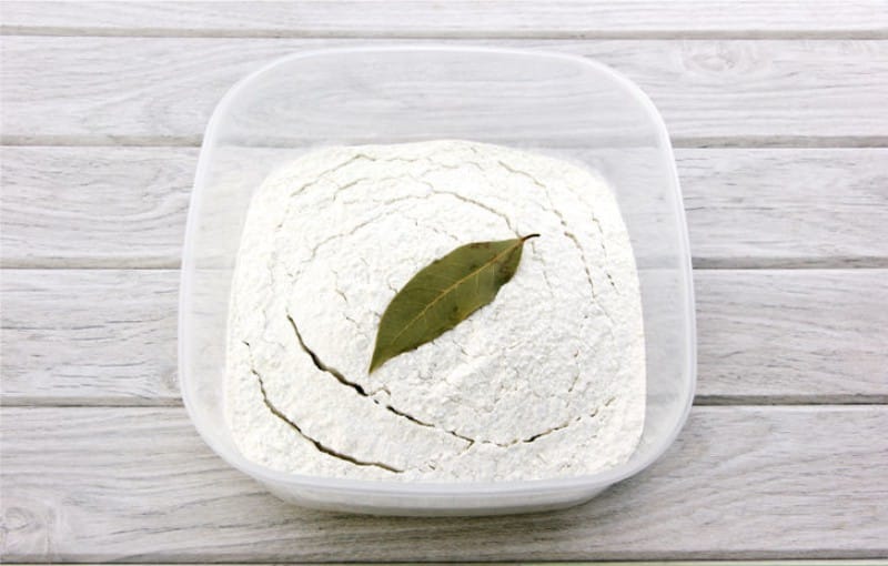 Bay leaf to protect the flour from moths