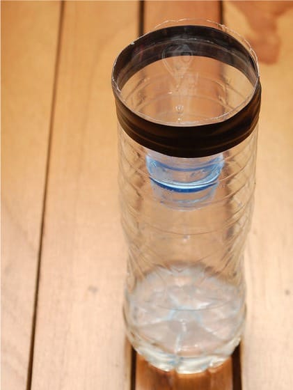 Plastic bottle black fly trap