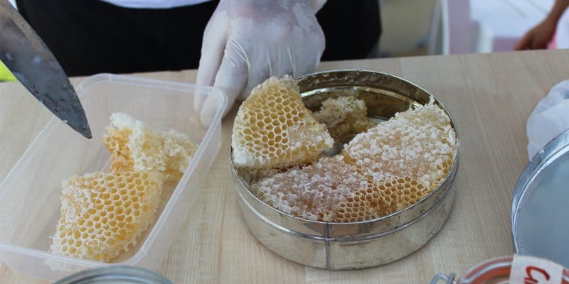 ที่เก็บน้ำผึ้งใน honeycombs
