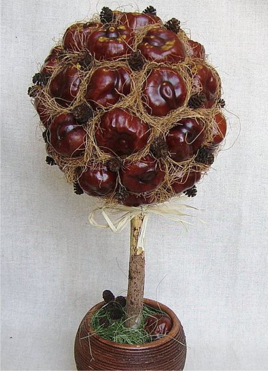 Chestnut, kon pain dan sisal topiary