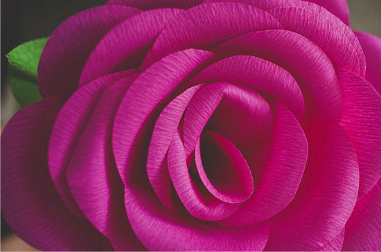 Große Rose aus Wellpapier