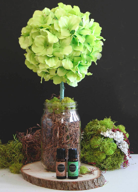 Idea topiary
